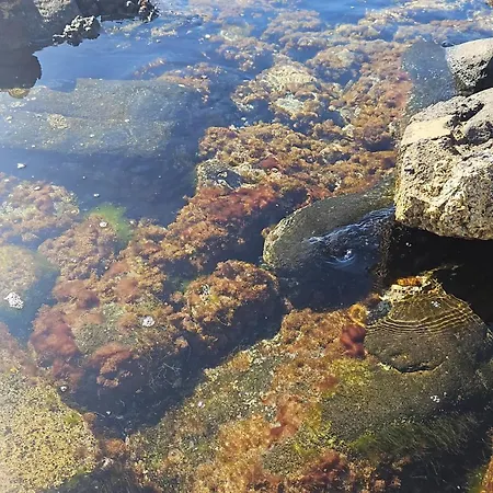 Appartement Laluna - Sea Panorama - 20mins From Cta Airport *